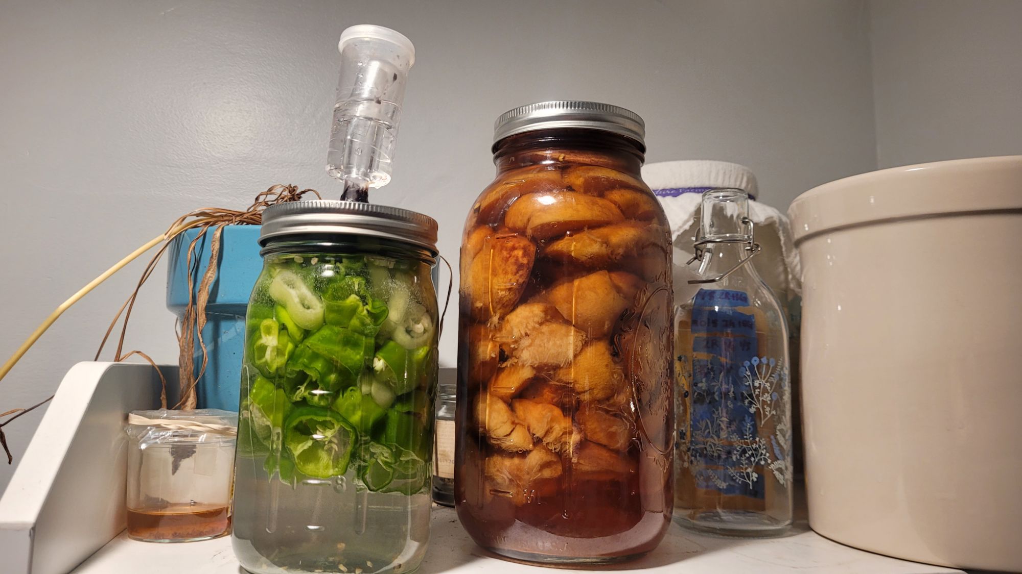 Fermentation Log – Shishito Peppers